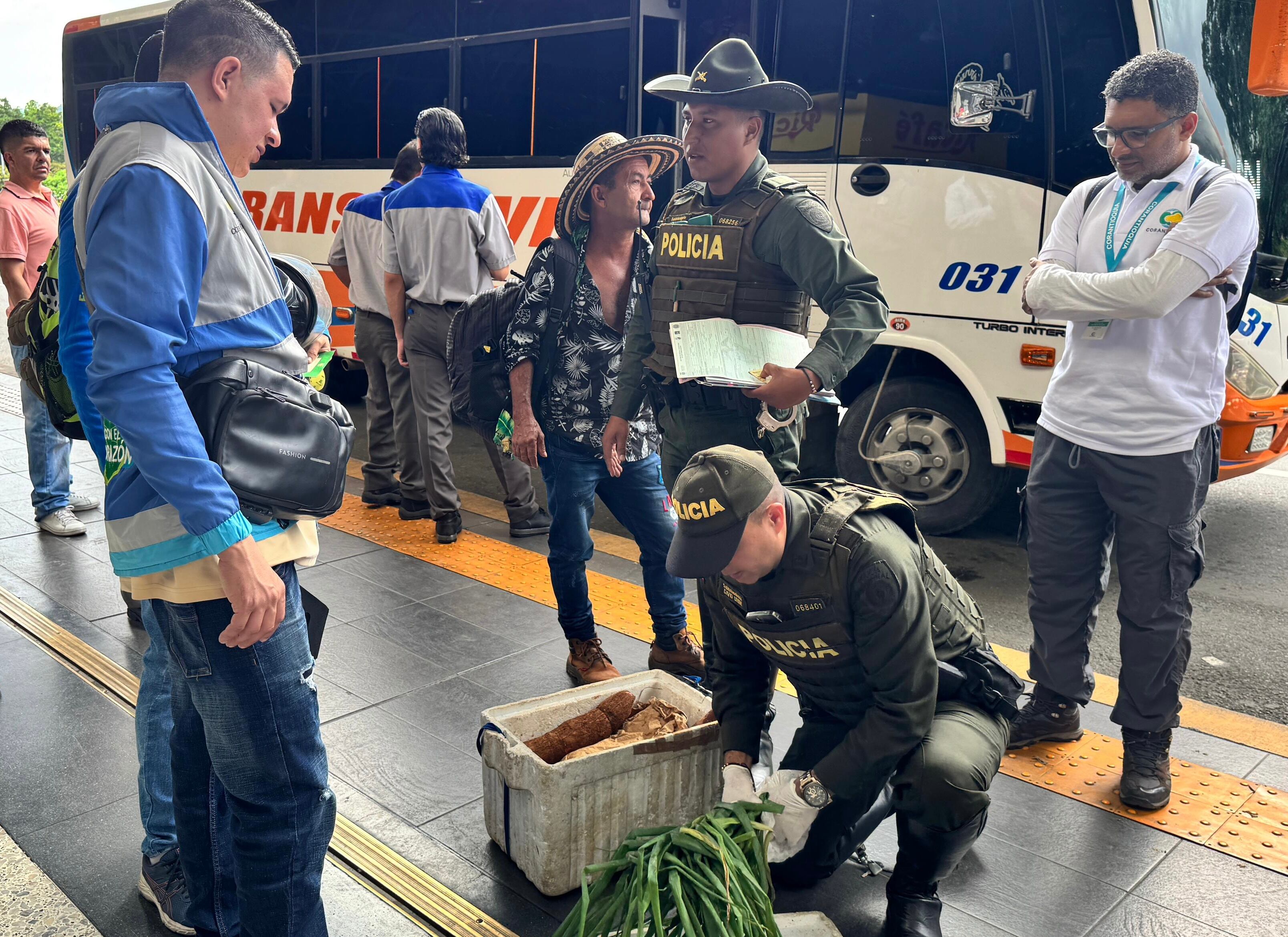 3 kilos de armadillo fueron incautados en la Terminal del Norte de Medellín. Foto: Corantioquia.
