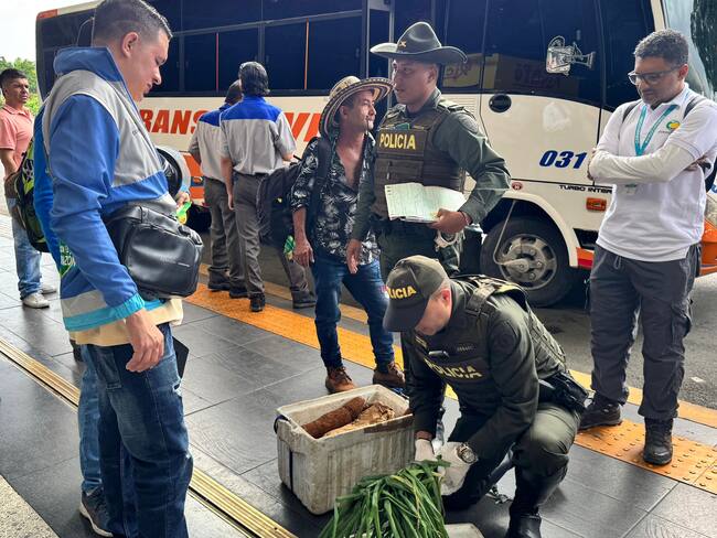 3 kilos de armadillo fueron incautados en la Terminal del Norte de Medellín. Foto: Corantioquia.