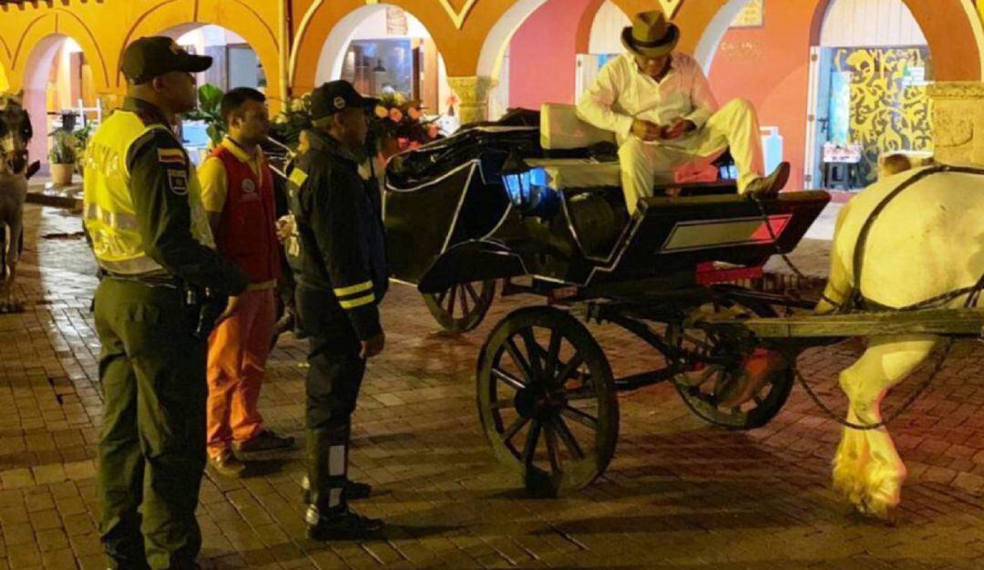 Caballos cocheros en Cartagena