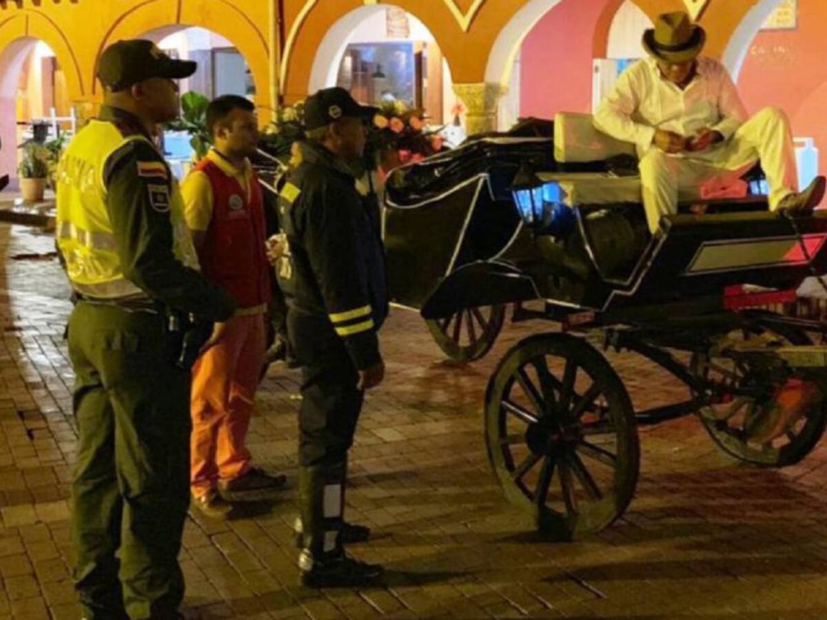 Concejales solicitan revisiones constantes a caballos cocheros en Cartagena