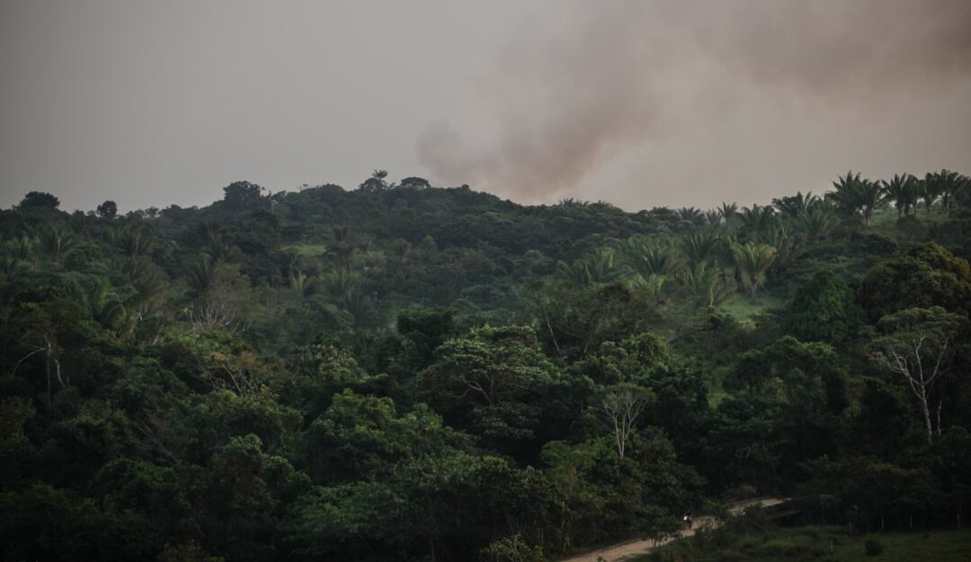 Caquetá Colombia- Foto de Referencia 