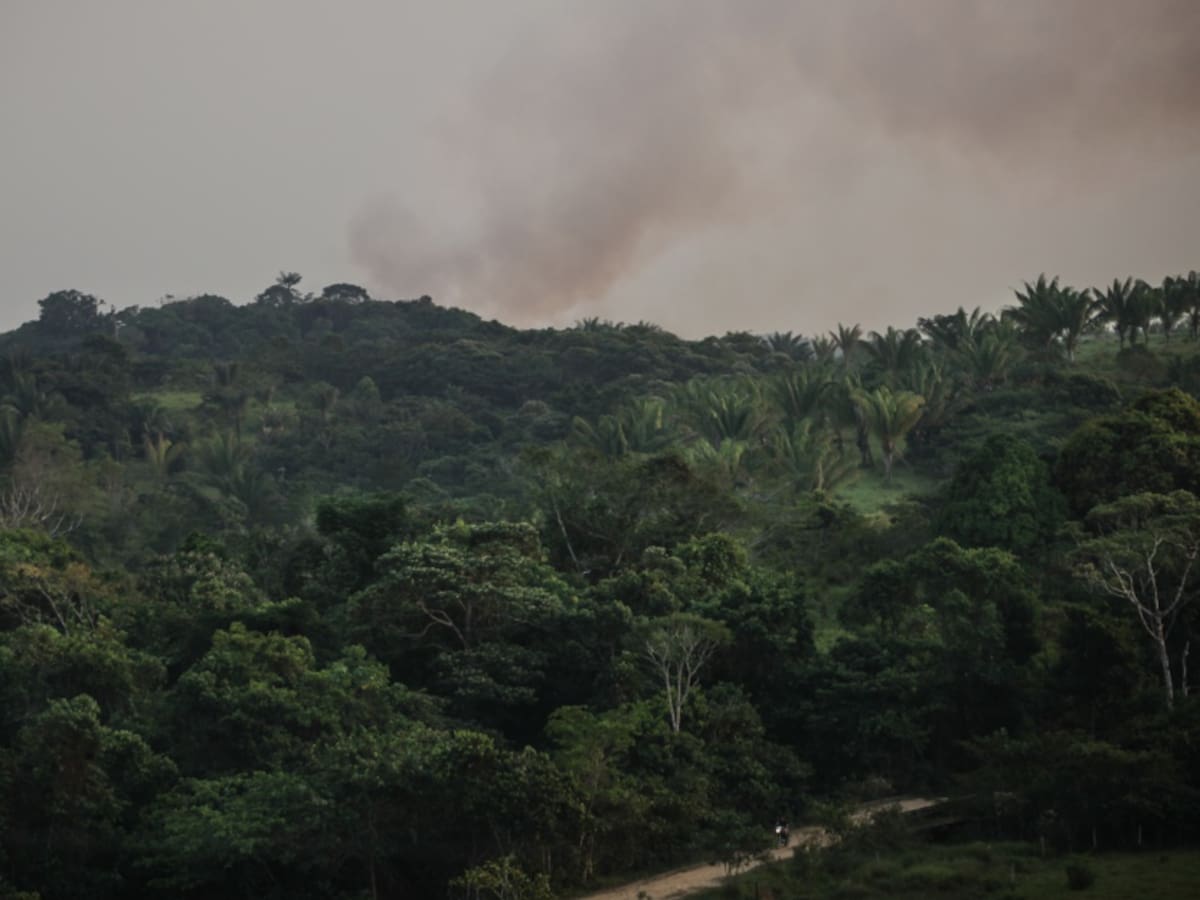 Confirman retención de un científico en el Caquetá