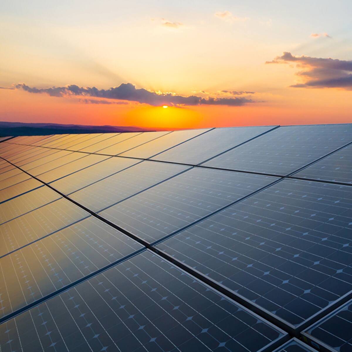 Cotelco evalúa apostarle a la generación de energía con paneles solares por altas tarifas