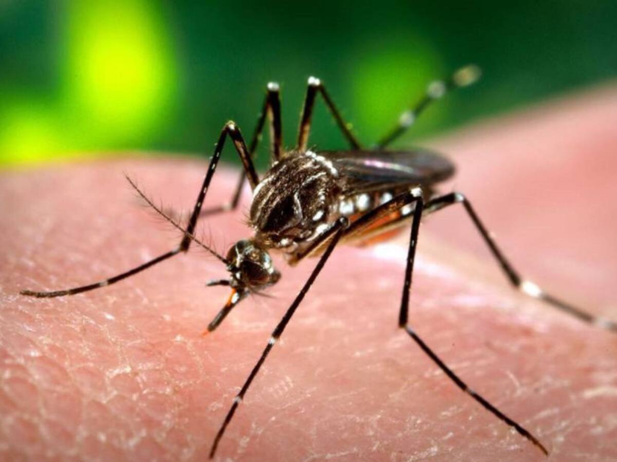 En diciembre se han registrado más de 4.500 casos de dengue en Barranquilla