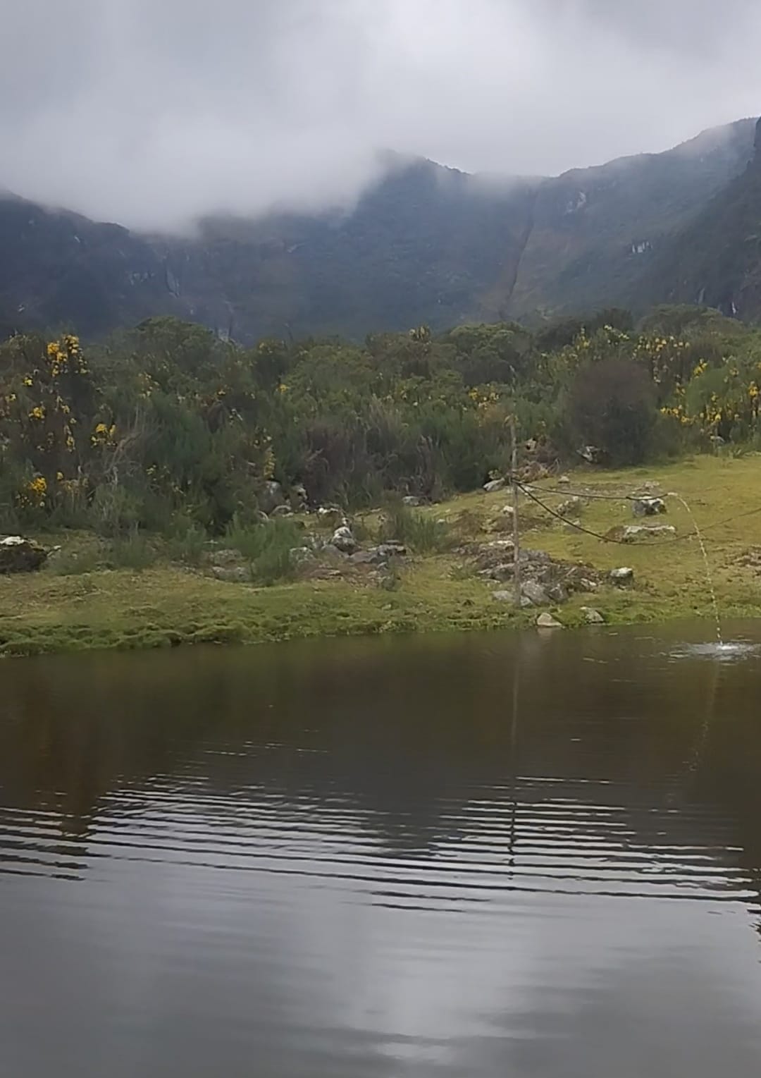 Caracol Radio Manizales