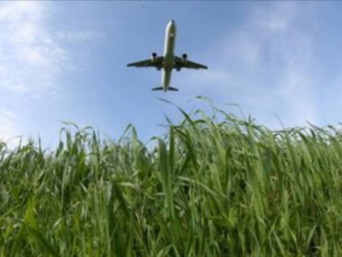 Fabricantes aeronáuticos desarrollarán estudio sobre biocombustibles para aviación