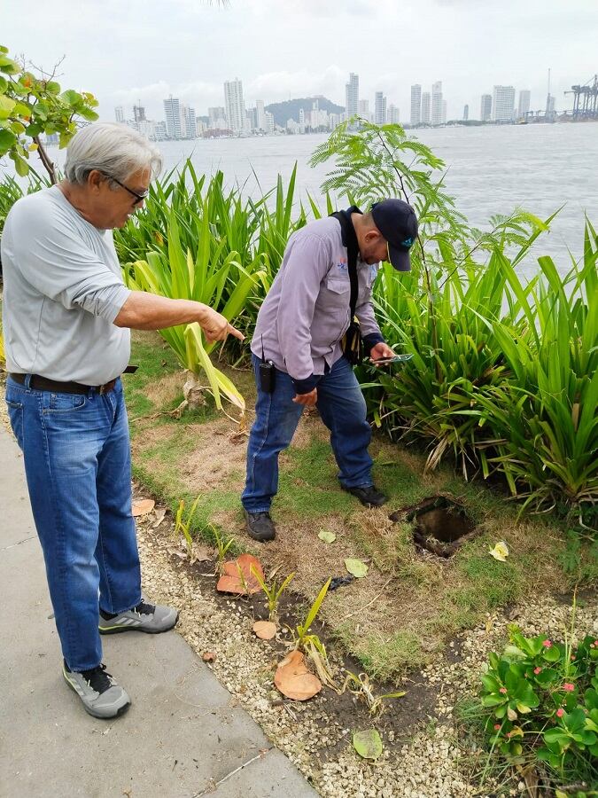 Fundación Verde que te Quiero Verde