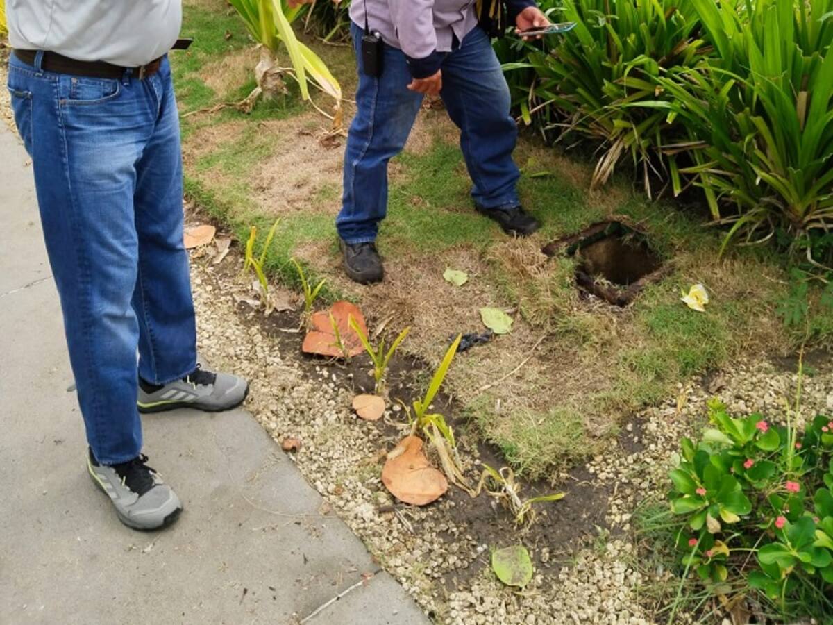 Denuncian desperdicio de agua en el paseo peatonal de Bocagrande