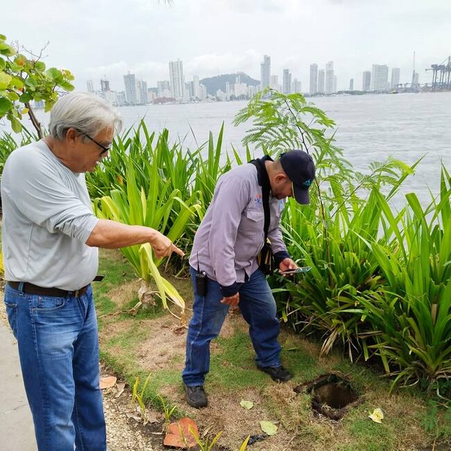 Fundación Verde que te Quiero Verde
