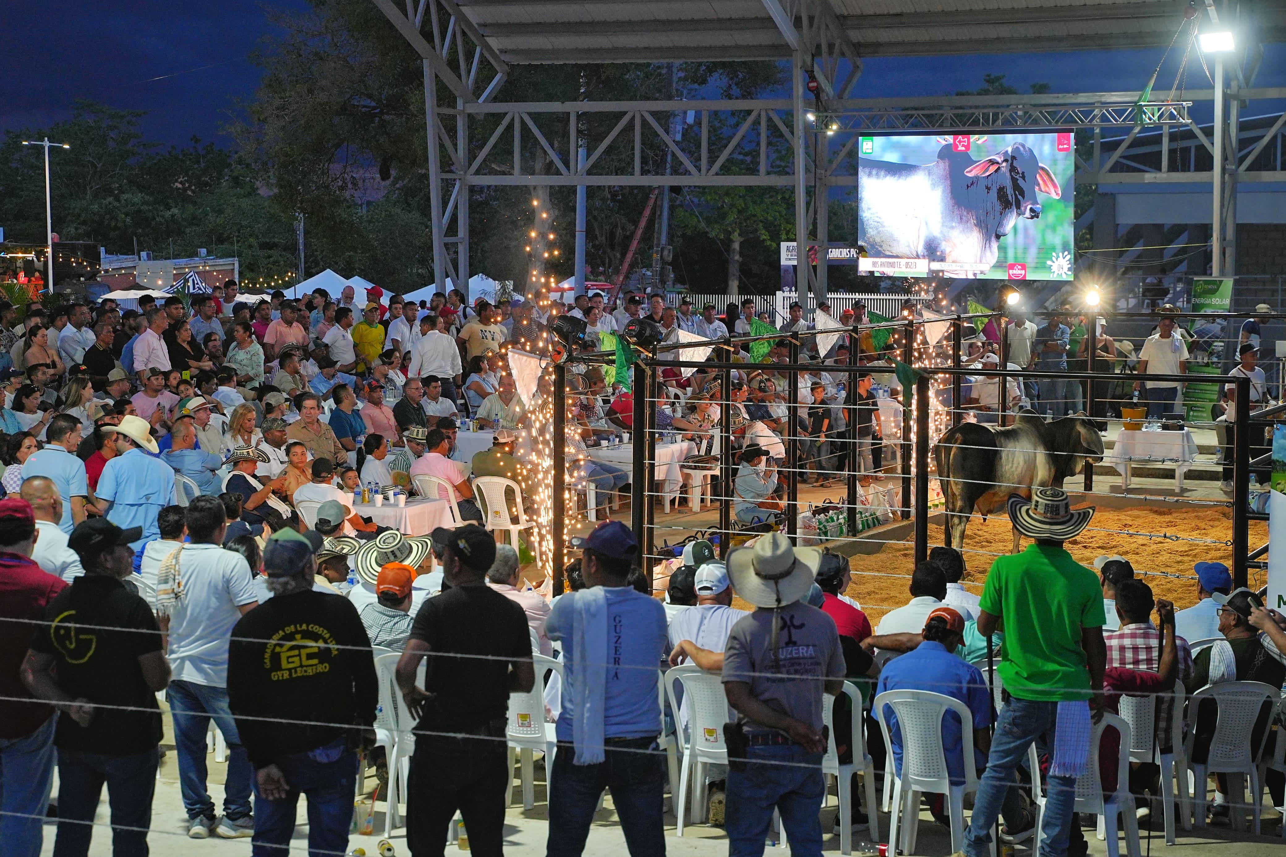 Gobernación de Bolívar