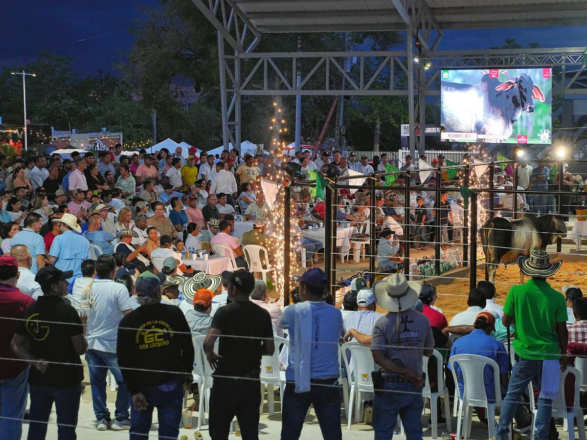 AgroBolívar 2025: subastas, ferias y mercado campesino en Centro de Exposiciones de Magangué