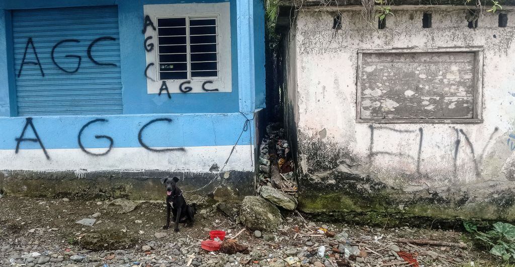 A dog sits next to a wall bearing graffitis of the AGC Gaitanist Self-Defense Forces of Colombia or Clan del Golfo paramilitaries at La Colonia village in the low Calima river region, near the port city of Buenventura, Valle del Cauca department, on May 18, 2022. - Most inhabitants have fled Buenaventura and its surroundings --on the Colombian Pacific coast-- due to the war between drug traffickers and rebels who have moved into their houses and now use them as a battlefield. (Photo by JOAQUIN SARMIENTO / AFP) (Photo by JOAQUIN SARMIENTO/AFP via Getty Images)