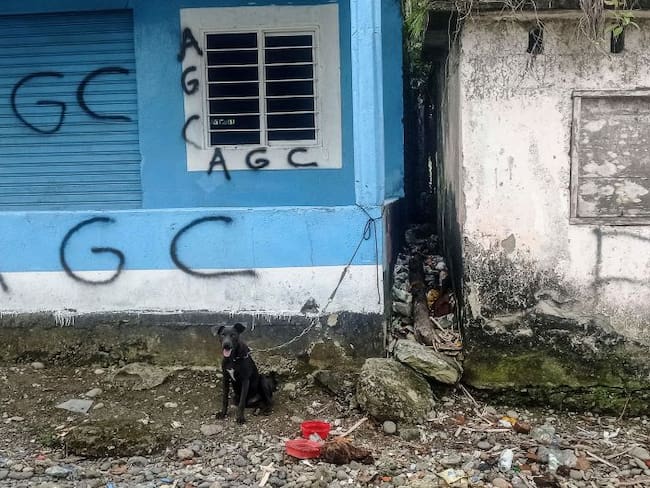 A dog sits next to a wall bearing graffitis of the AGC Gaitanist Self-Defense Forces of Colombia or Clan del Golfo paramilitaries at La Colonia village in the low Calima river region, near the port city of Buenventura, Valle del Cauca department, on May 18, 2022. - Most inhabitants have fled Buenaventura and its surroundings --on the Colombian Pacific coast-- due to the war between drug traffickers and rebels who have moved into their houses and now use them as a battlefield. (Photo by JOAQUIN SARMIENTO / AFP) (Photo by JOAQUIN SARMIENTO/AFP via Getty Images)