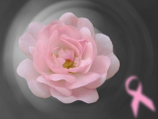 Més de lucha contra cáncer de seno - 14 de Octubre