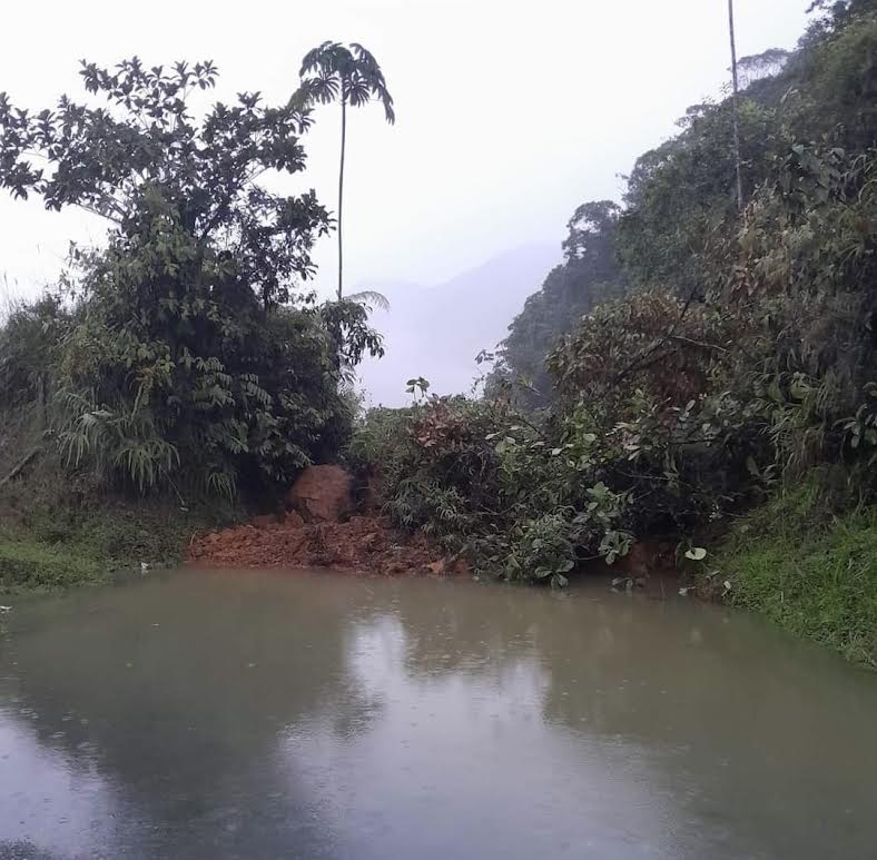 Con maquinaria amarilla, el Invías adelantará las labores de remoción de escombros en la vía Quibdó-Medellín. Foto: cortesía.