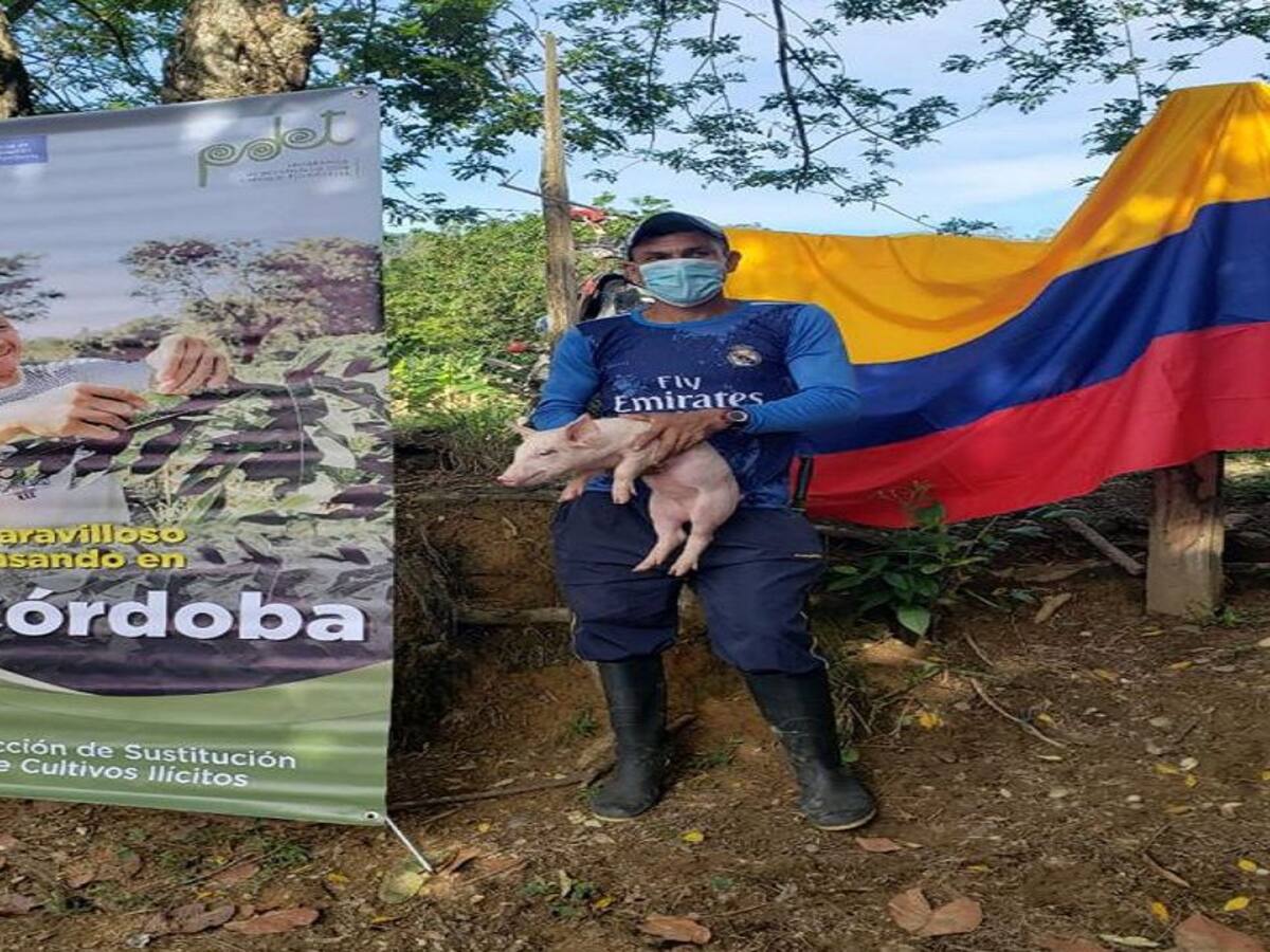 Entregan insumos a familias rurales del municipio de Tierralta