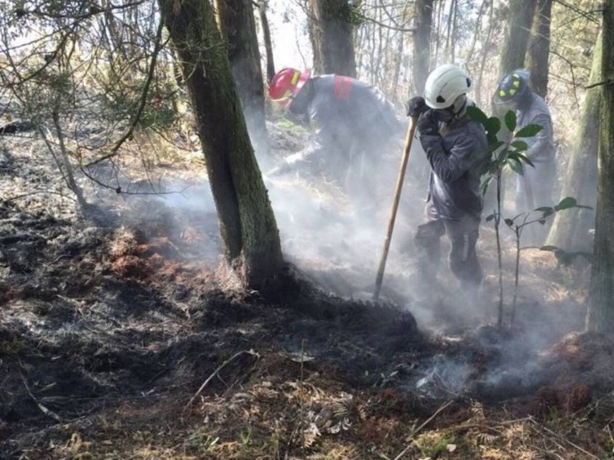 13 incendios durante fenómeno El Niño en Medellín