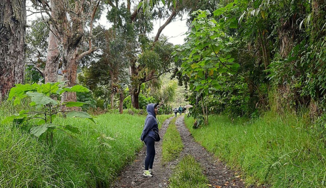 Transformación natural para proteger la vida, el medio ambiente y el agua.