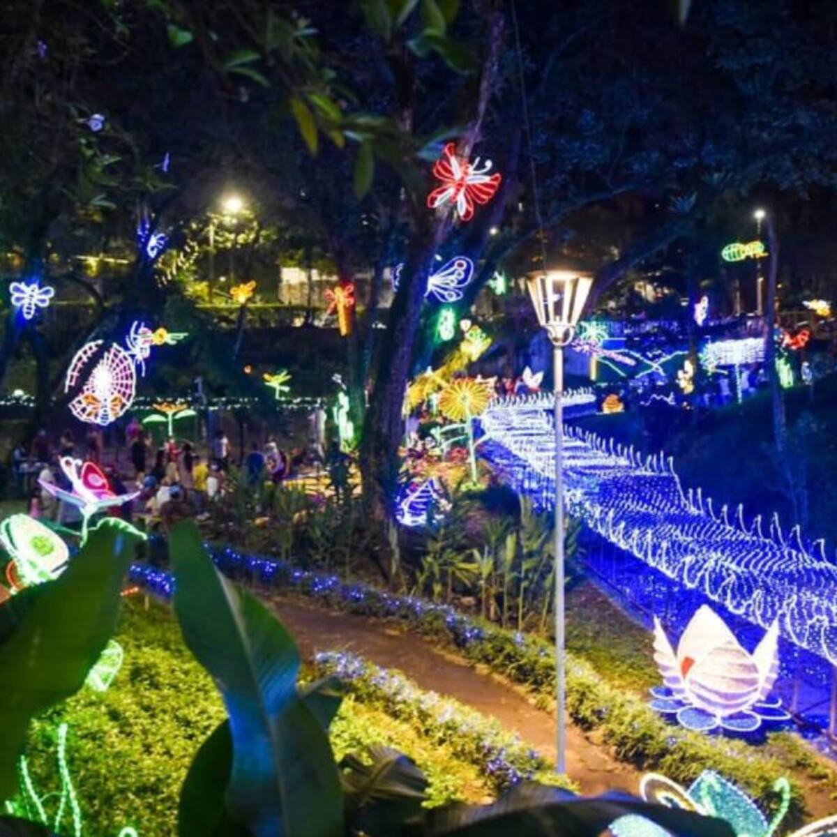 Así se vivió el encendido del alumbrado navideño en Ibagué