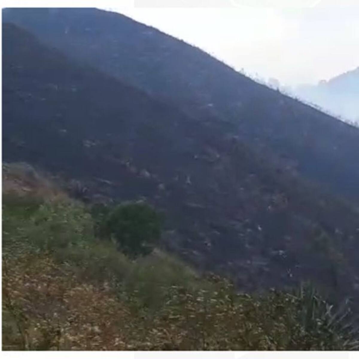 Por más de ocho horas bomberos de Yumbo lucharon para sofocar incendio