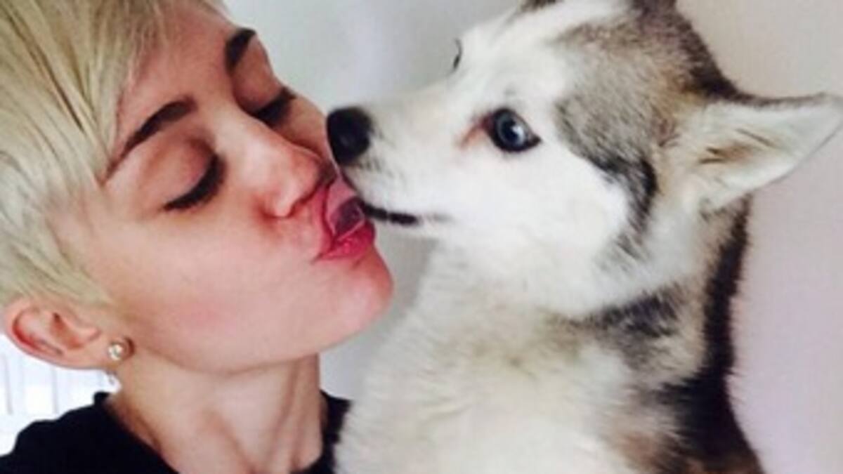 Miley Cyrus intenta comunicarse con su mascota fallecida