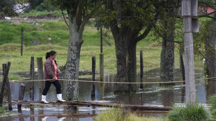 Se sembrarán 1 millón de árboles en la cuenca del Río Bogotá