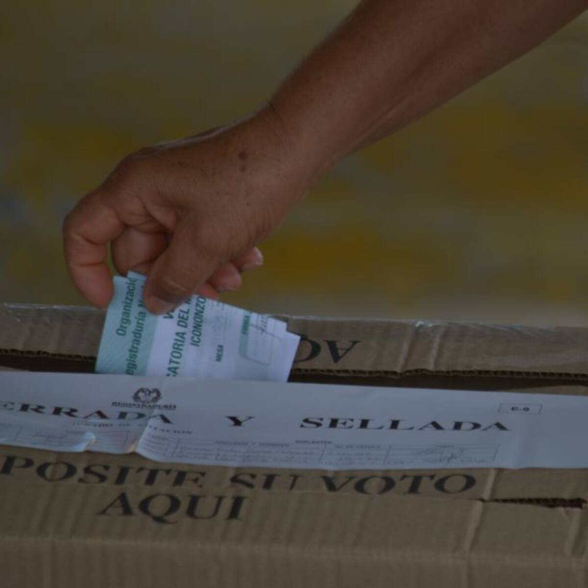 Terminó con éxito simulacro de las elecciones de los Consejos de Juventudes