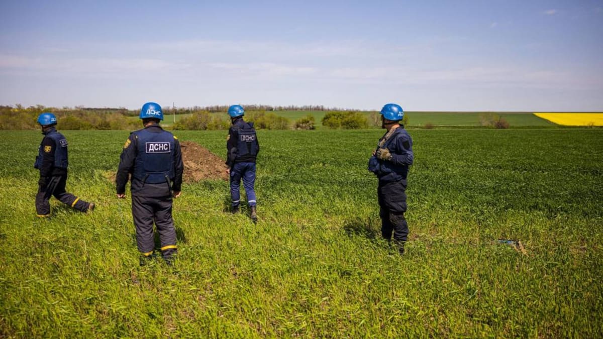 Potencias agrícolas se comprometen a suministrar alimentos a pesar de guerra