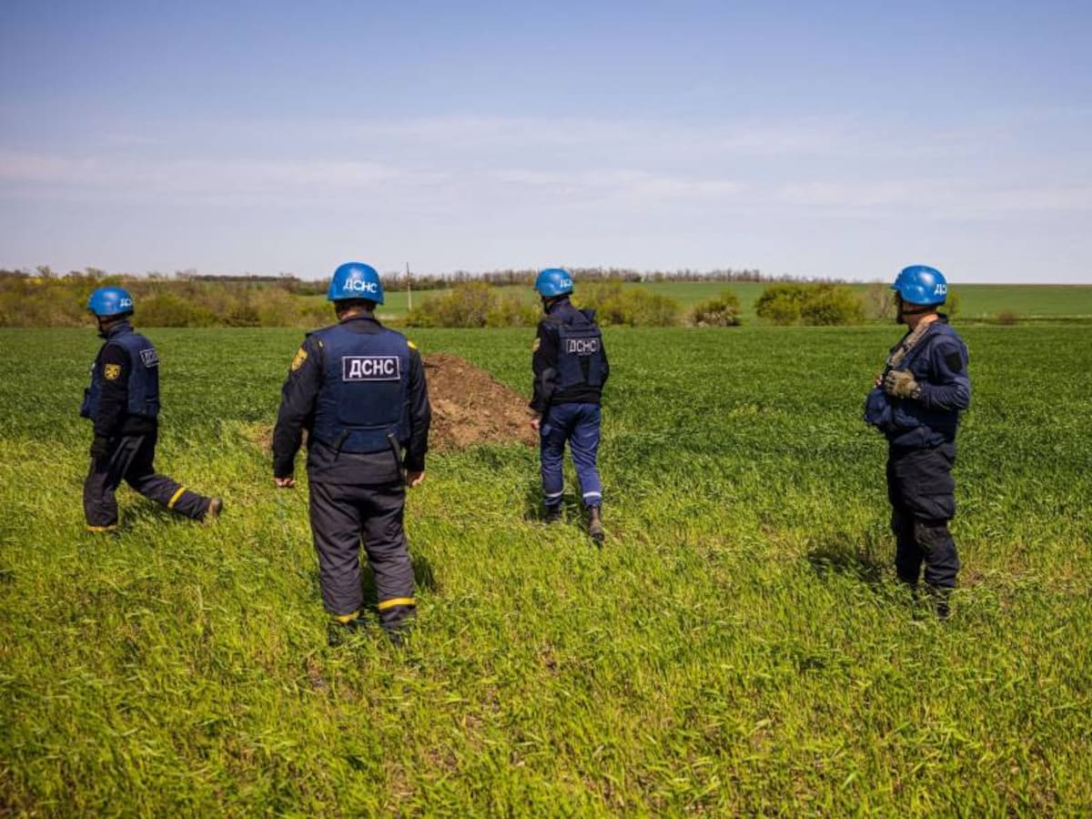 Potencias agrícolas se comprometen a suministrar alimentos a pesar de guerra