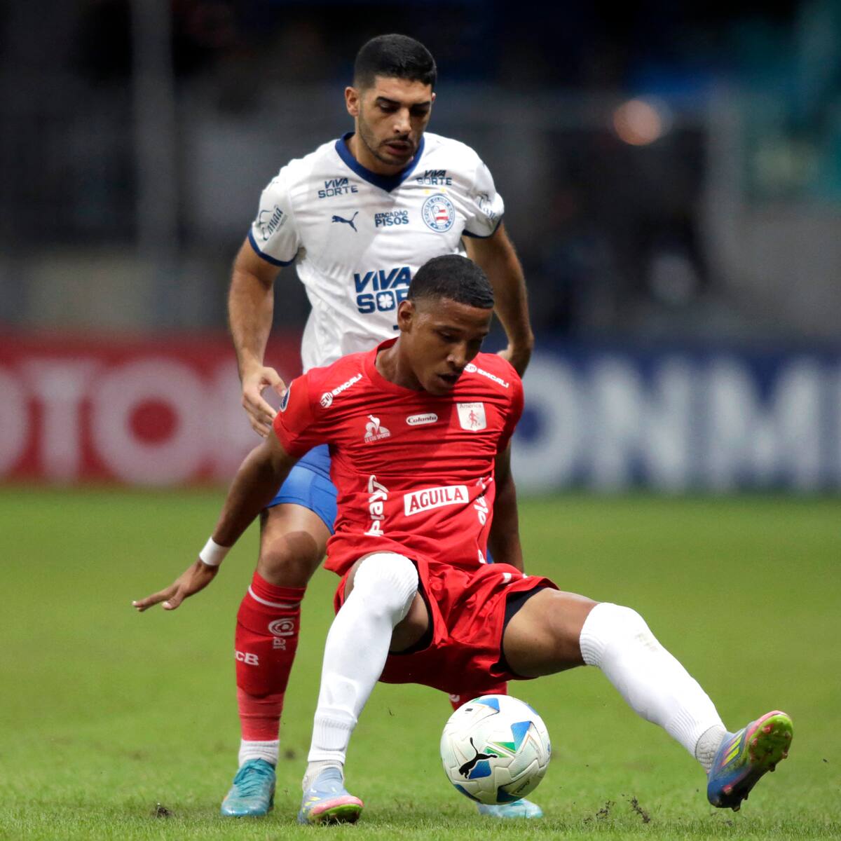 América empata con Bahía en los play-offs de Copa Sudamericana: reviva acá el partido de ida