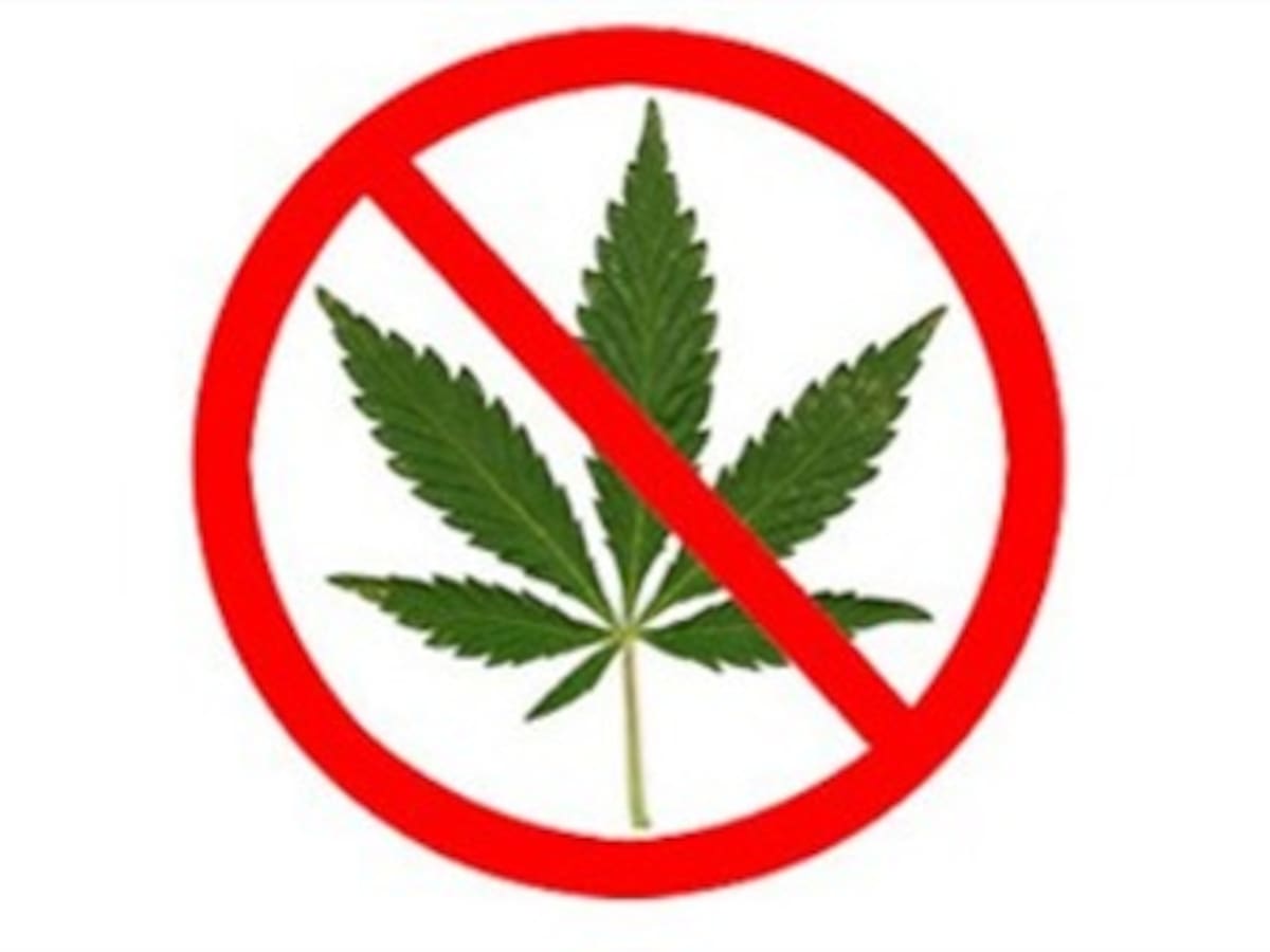 Analistas dan por hecho la negativa a la legalización de la Marihuana en California