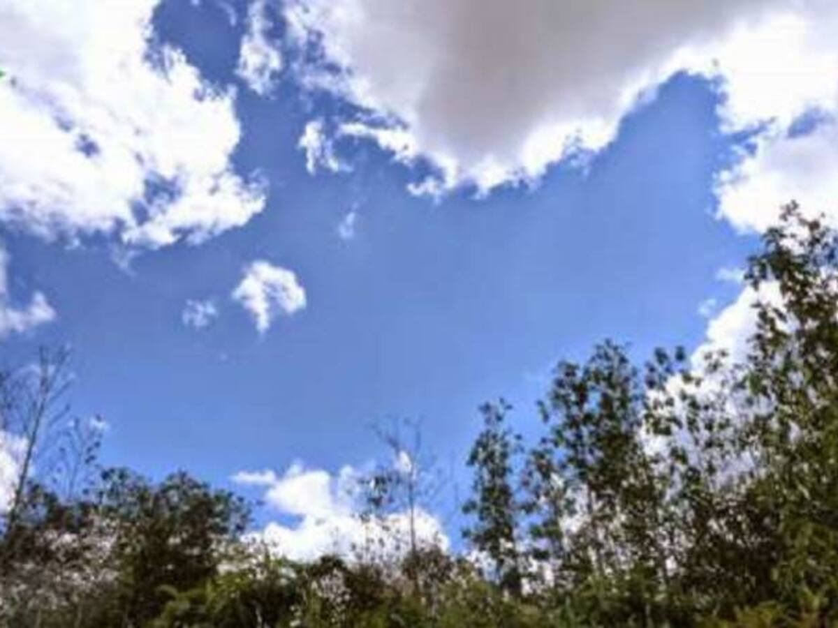 Debate: ¿Cómo resolver el proyecto de la av Boyacá sin afectar la reserva Van der Hammen?