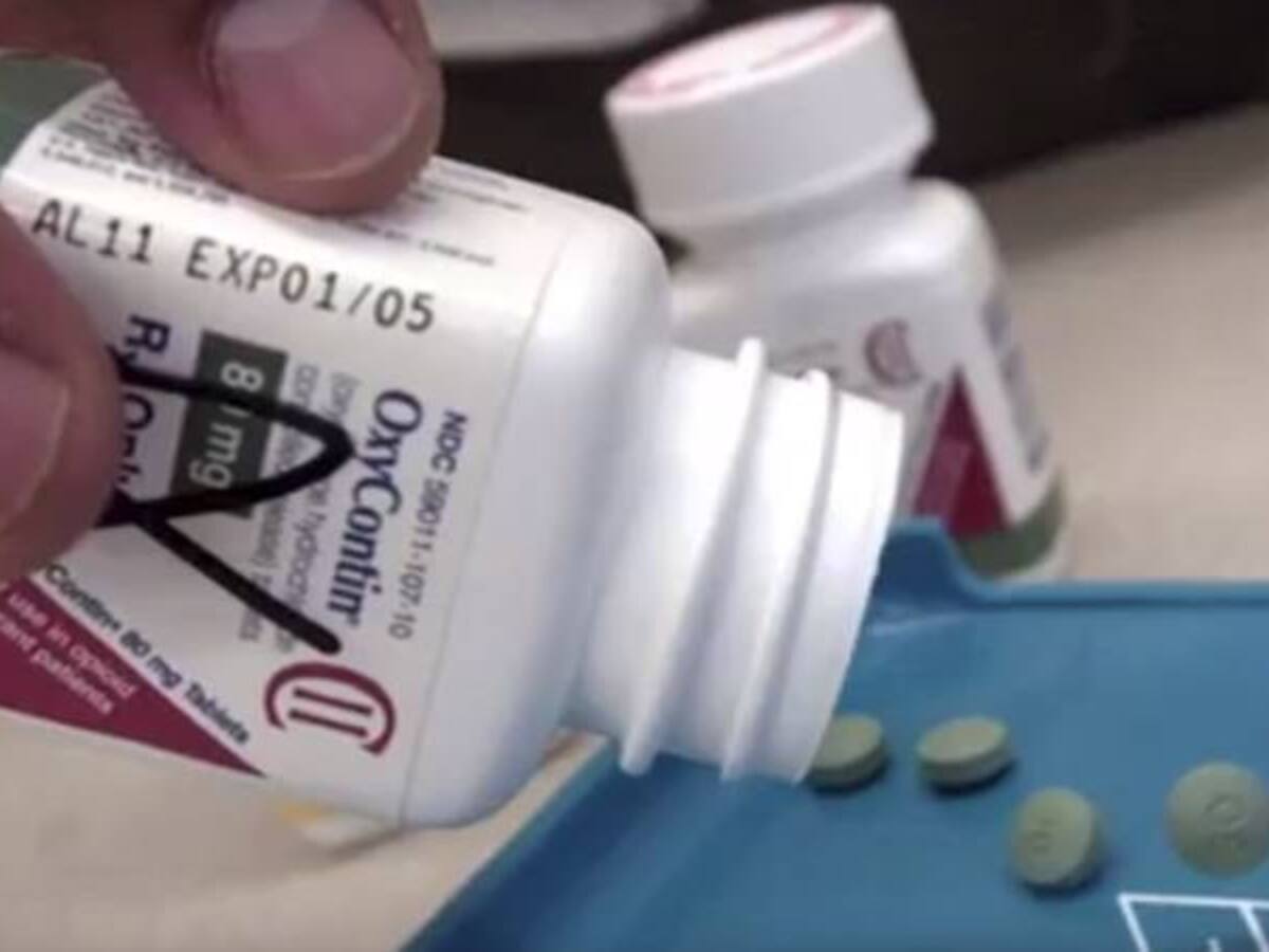 Ganando billones matando a millones