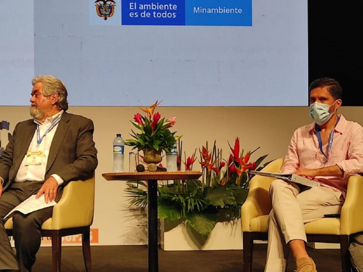 Industria de carbono debe impulsarse con privados: Minambiente