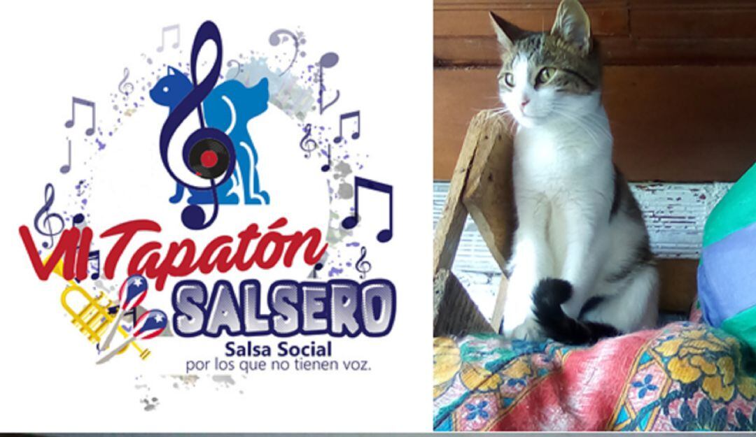 Imágenes tomadas del FB del Refugio Ángeles de la Calle