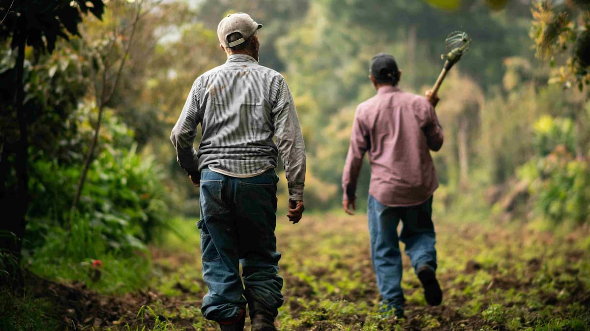 Arranca la Jurisdicción Agraria en Boyacá