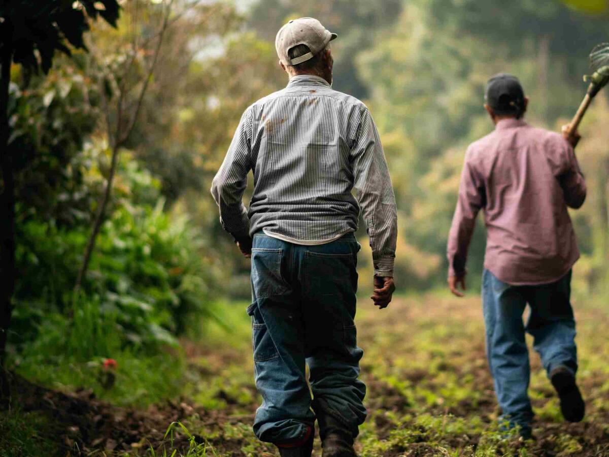 ¿Quiénes y cuántos son nuestros campesinos?