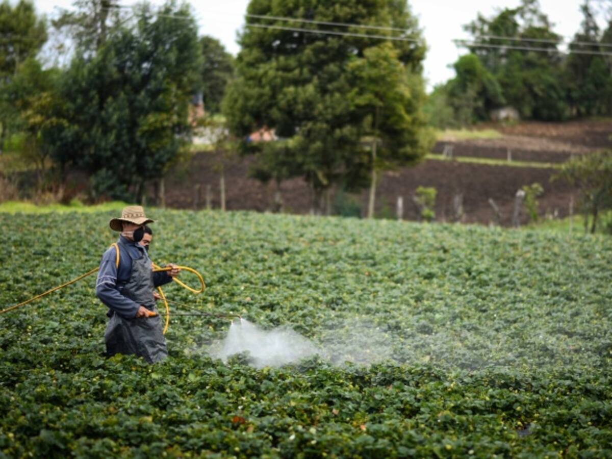 Dicen que la ley de Zidres no favorece a los campesinos para "satanizarla": Santos