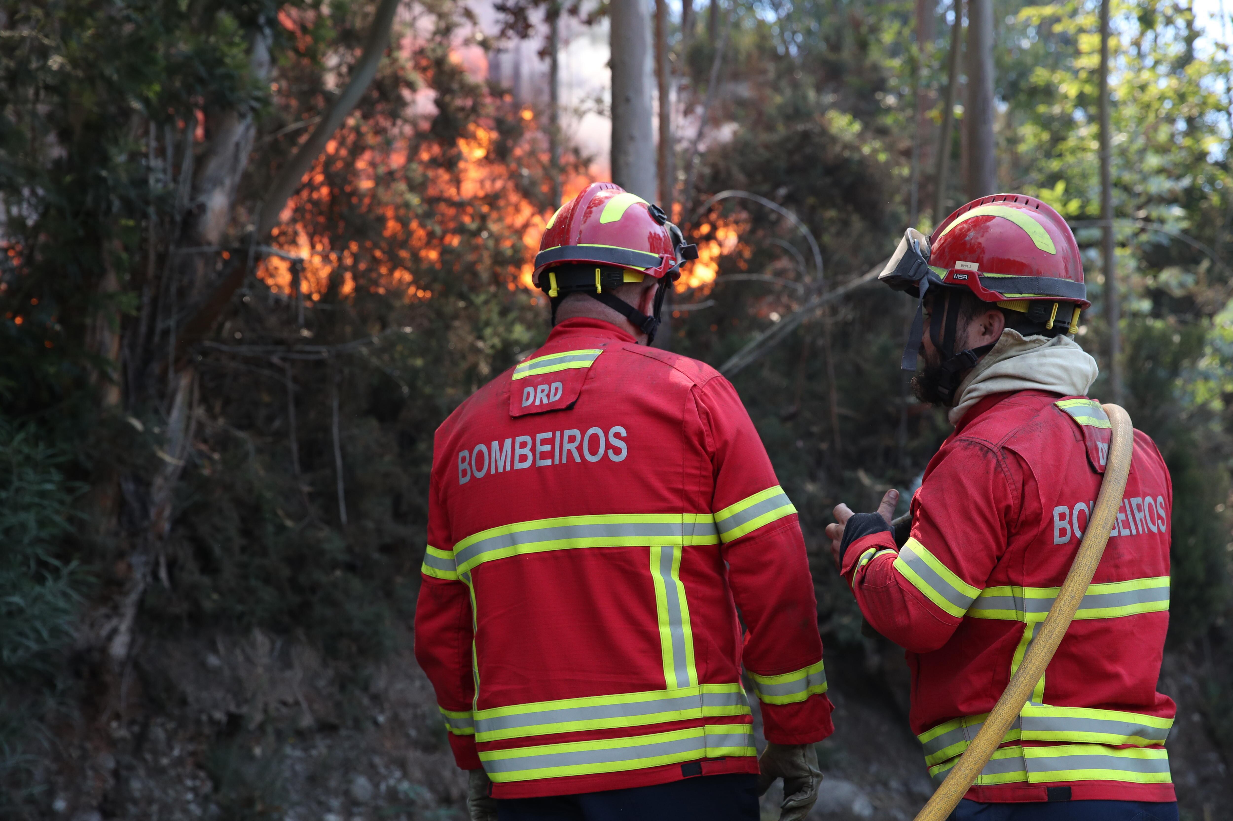 Incendios en Madeira ( Foto: EFE )