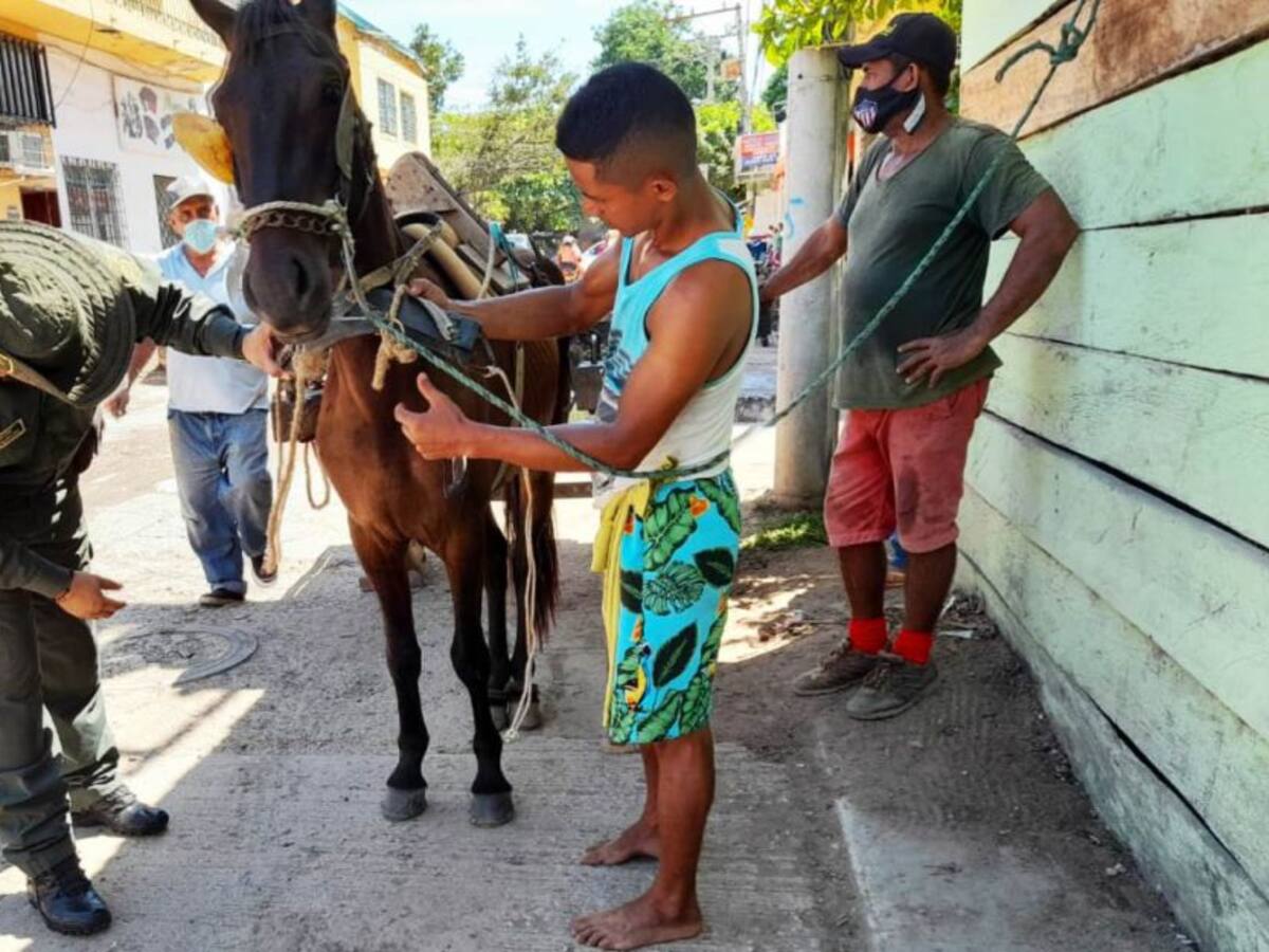 Policía Nacional lidera campaña contra el maltrato animal en Bolívar