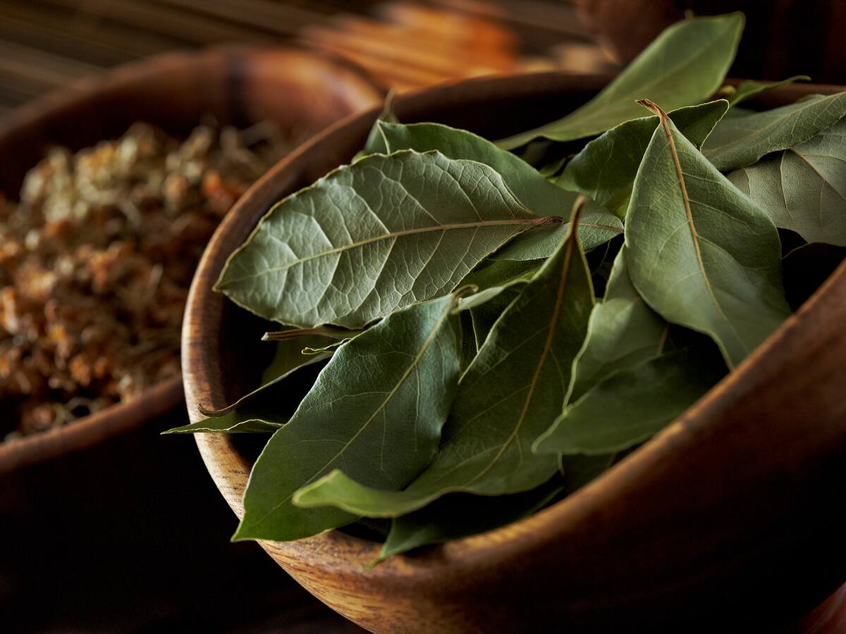 Por qué poner una hoja de laurel debajo de la almohada al dormir es bueno para la salud