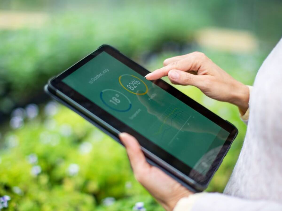 La creación de suelo a partir de la biotecnología