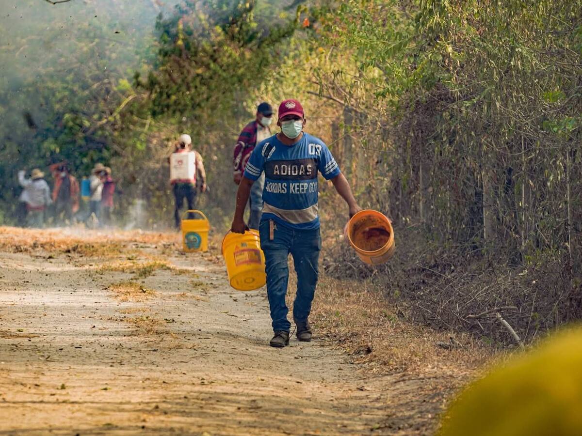 El Tolima empieza a salir de la situación crítica en la que estuvo por los incendios forestales