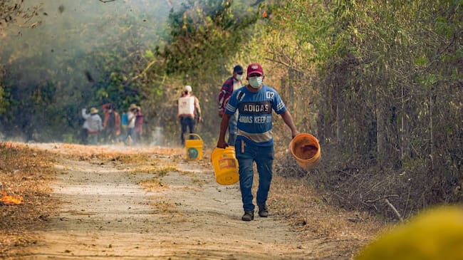 El Tolima empieza a salir de la situación crítica en la que estuvo por los incendios forestales. Foto: Gobernación del Tolima