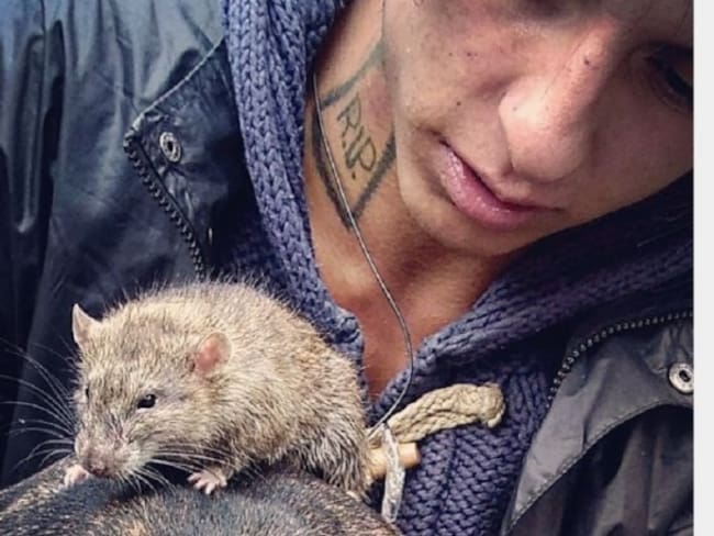 Hombre que viaja con una rata en Transmilenio genera polémica