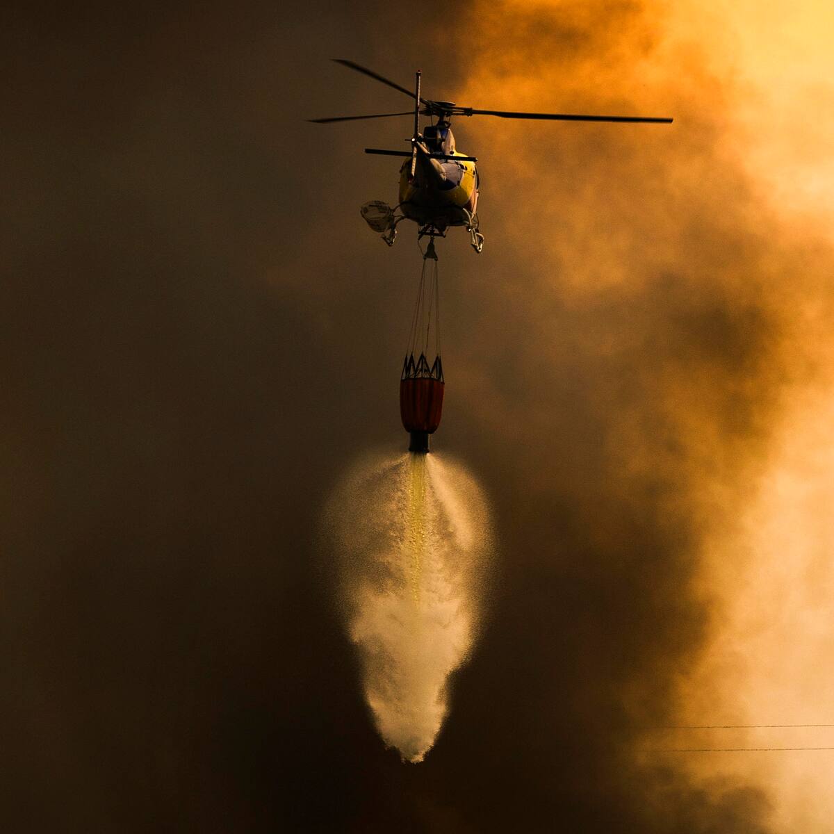 Portugal: incendios arrasan con cerca de 95.000 hectáreas