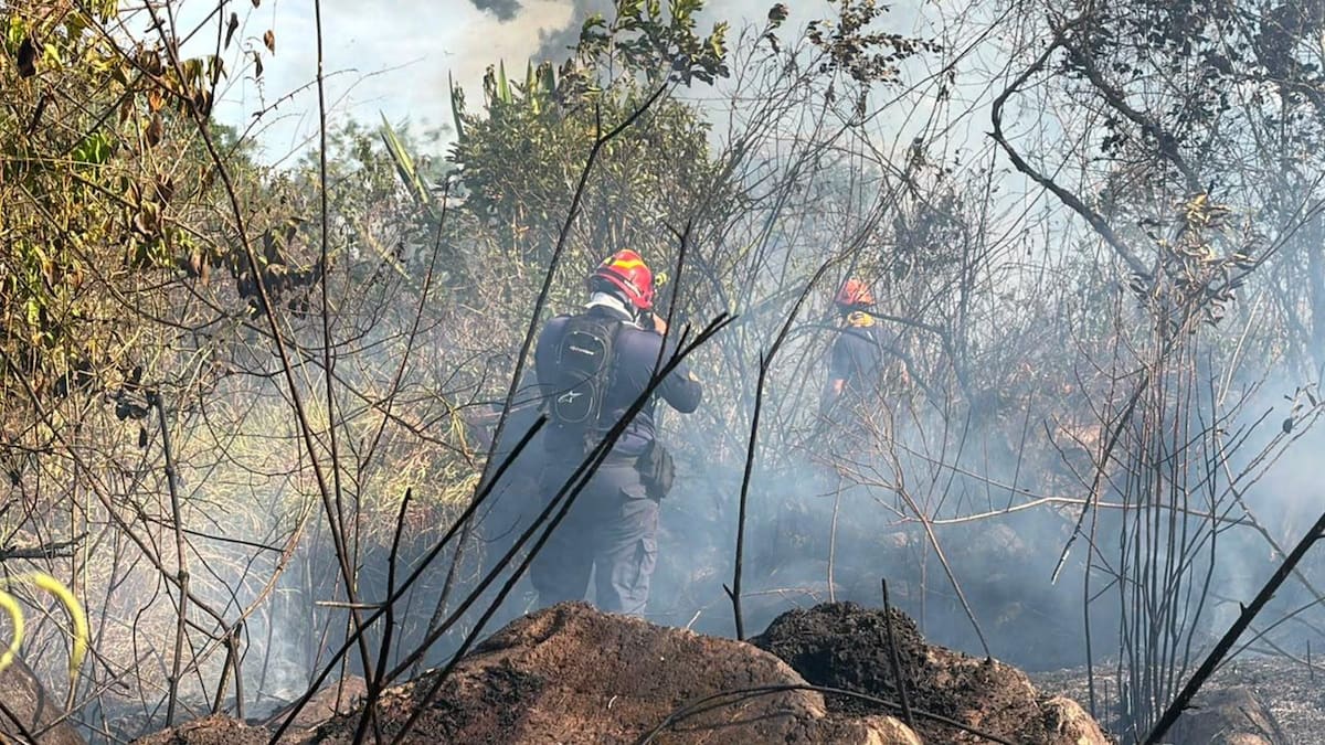 El 90% de los incendios forestales que se han registrado en el Tolima han sido provocados