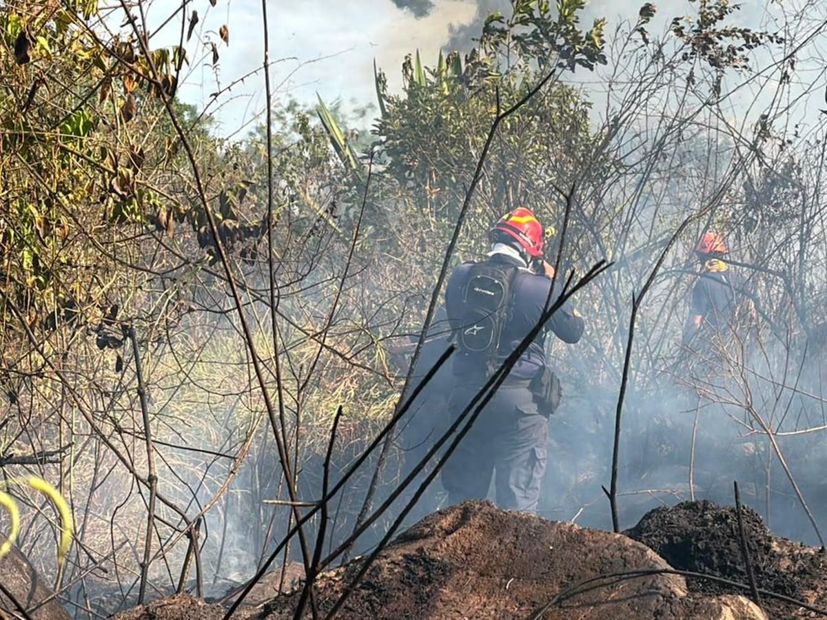 El 90% de los incendios forestales que se han registrado en el Tolima han sido provocados