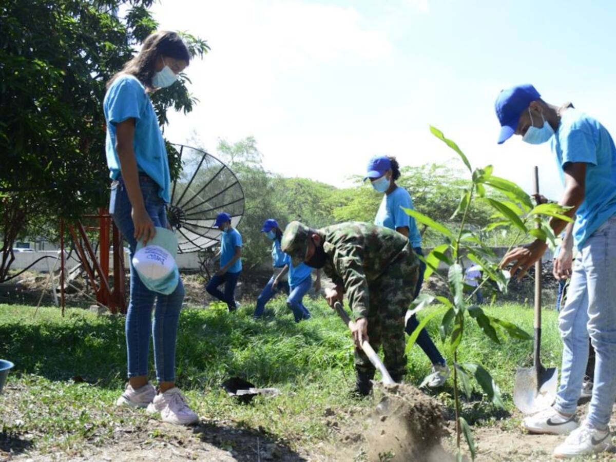 Con siembra de árboles buscan mitigar focos de calor en el batallón Córdova
