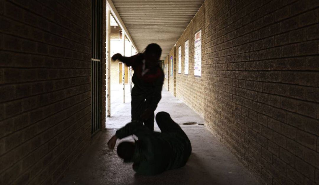 Imagen de referencia 